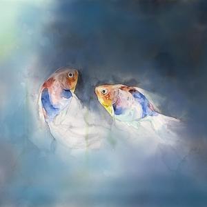 韩国学生小男生Gay
